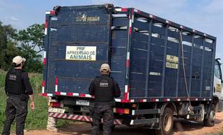 Mais de 40 animais são recolhidos e conduz cinco pessoas no Piauí
