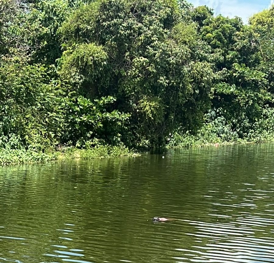 Corpo de homem desaparecido é encontrado em lagoa na zona Norte de Teresina.