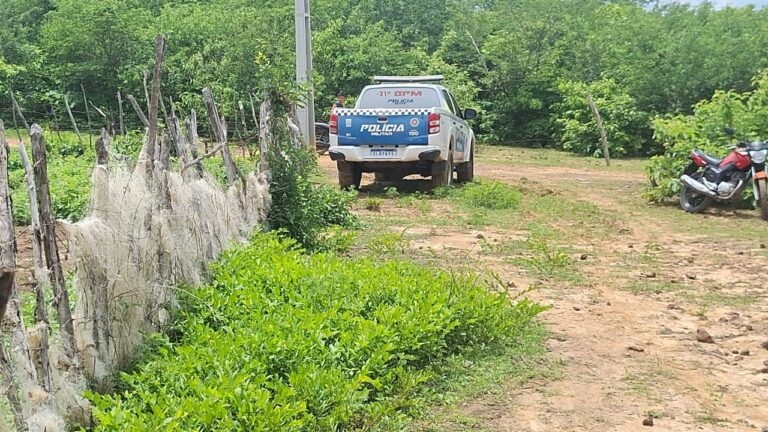 Corpo é encontrado em cova rasa na zona rural de Buriti dos Lopes