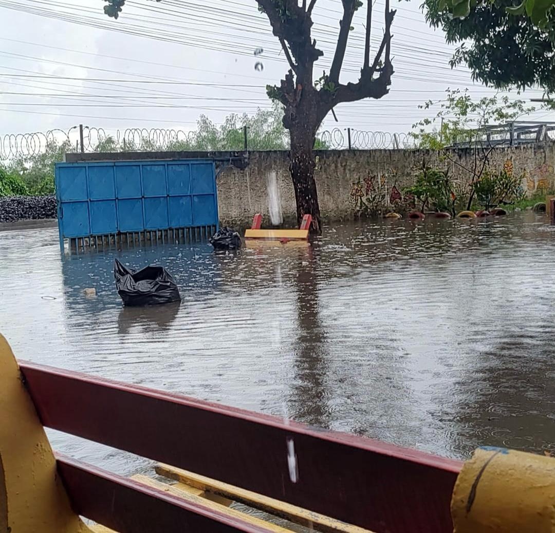 Imagens enviadas por profissionais da escola.