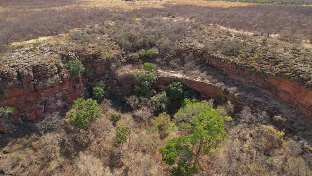 Piauí cria Área de Proteção Ambiental no Vale dos Buritis e Carnaubais.