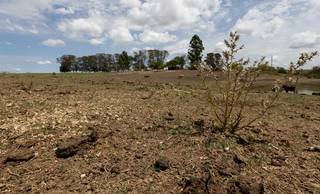 Governo Federal reconhece emergência por seca em mais sete cidades do Piauí Governo Federal reconhece emergência por seca em mais sete cidades do Piauí