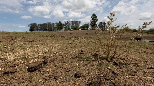 Governo Federal reconhece emergência por seca em mais sete cidades do Piauí