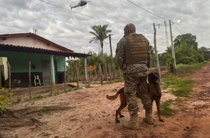 Polícia faz operação contra tráfico de drogas e crime organizado em Nazária. (Foto: Divulgação/ PC-PI)