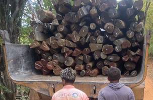 A carga de aroeira era transportada sem documentação. (Foto: Divulgação/ PC-PI)