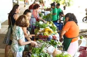 Agricultura familiar (Foto: Divulgação)