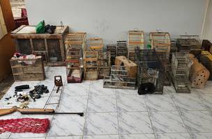 Homem é preso por manter rinha de galos e portar arma de fogo em Pio IX. (Foto: Ascom/SSP)