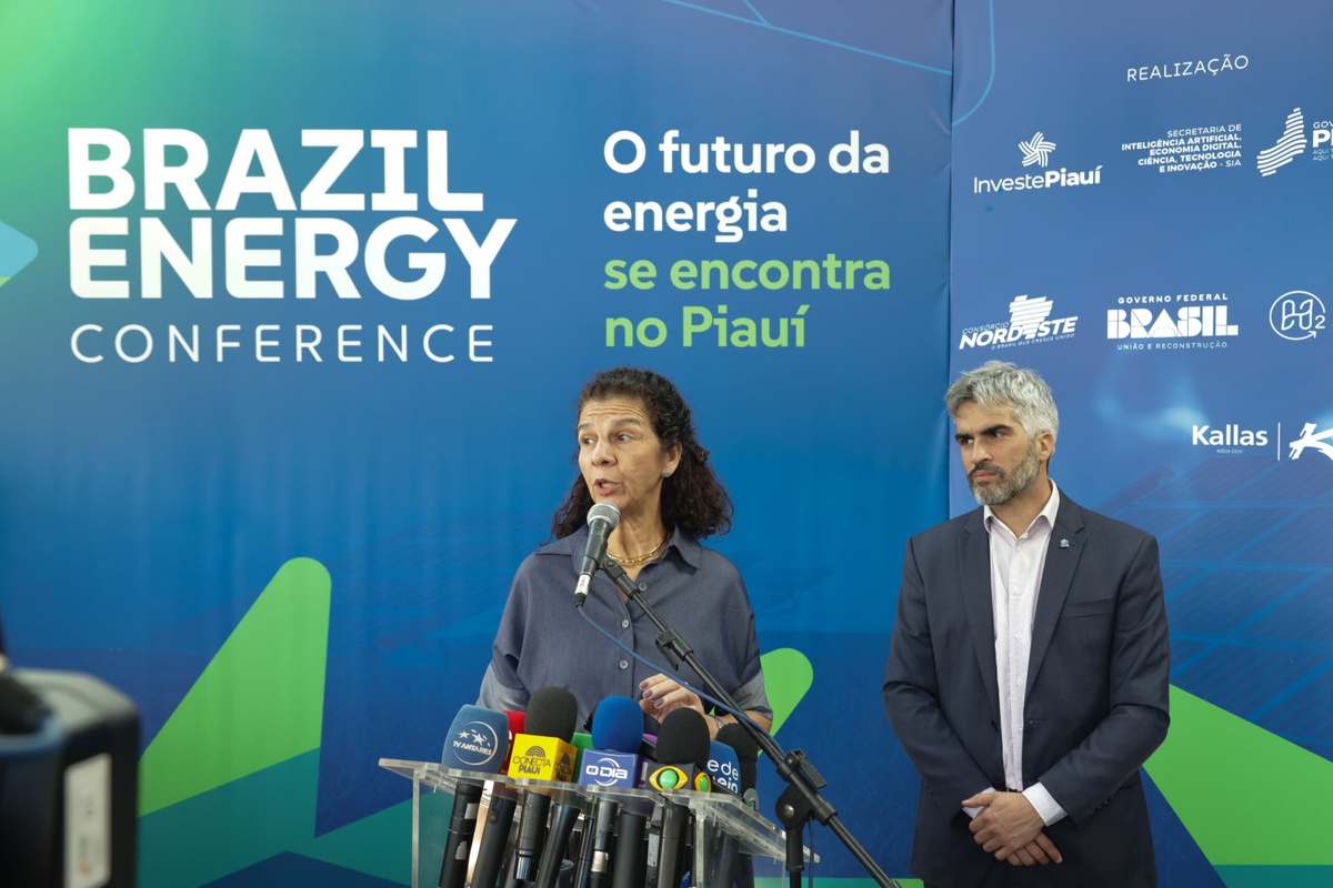 Presidente da ABDE, Maria Fernanda Coelho.