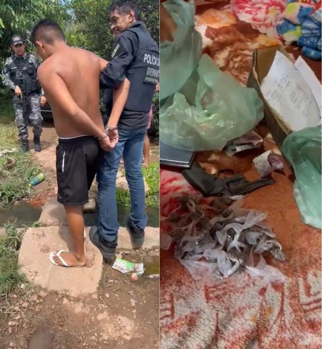 DENARC prende suspeitos de homicídios e apreende armas e drogas em Teresina.