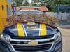 PRF resgata 35 aves silvestres transportadas ilegalmente em Parnaíba