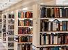 Leitura como direito: nova lei no Piauí quer levar bibliotecas a comunidades vulneráveis