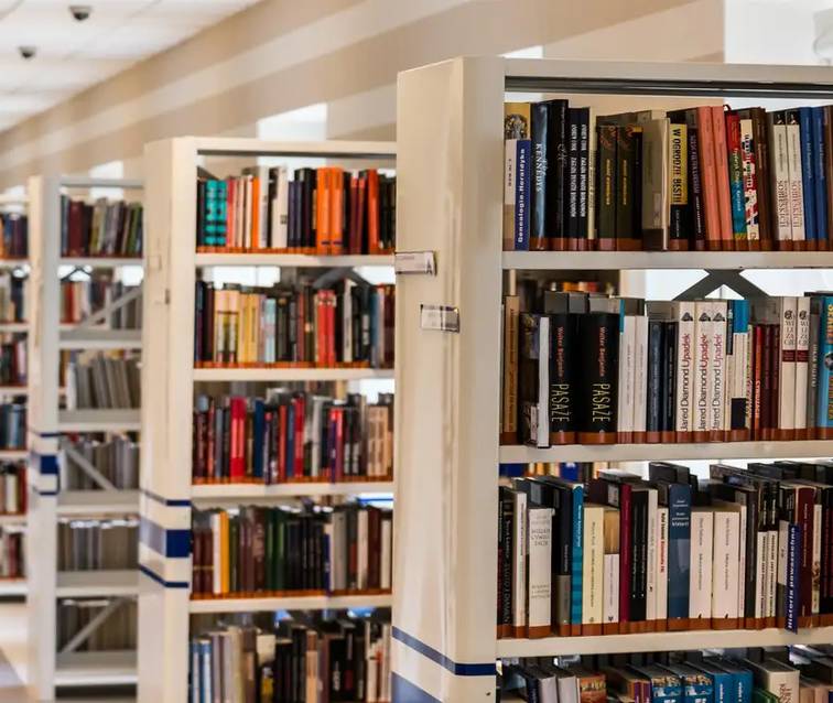Leitura como direito: nova lei no Piauí quer levar bibliotecas a comunidades vulneráveis
