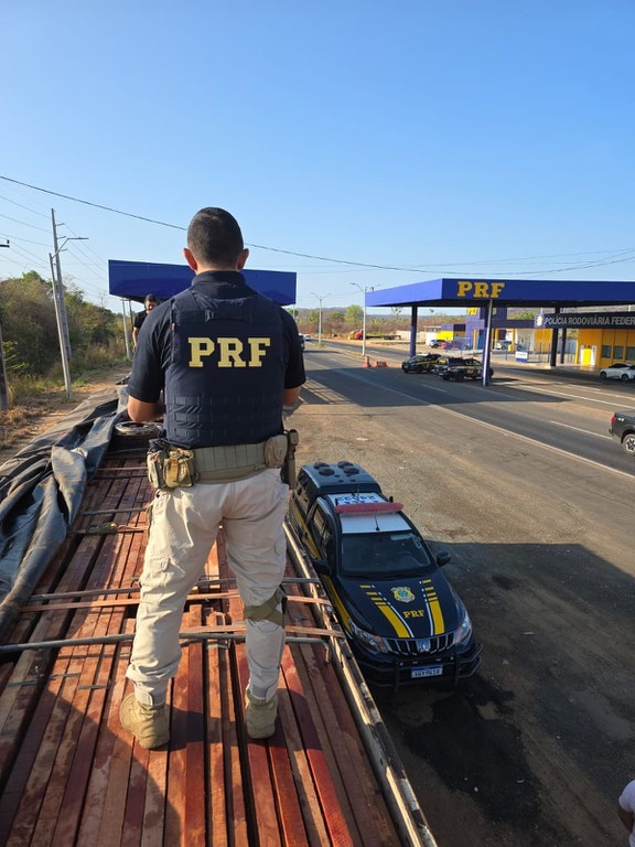 Carga de madeira nativa que era transportada de forma irregular na BR-316, em Teresina.