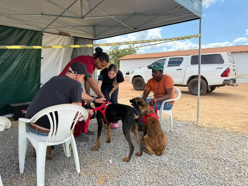 Busão da Castração retorna a Teresina com duas unidades