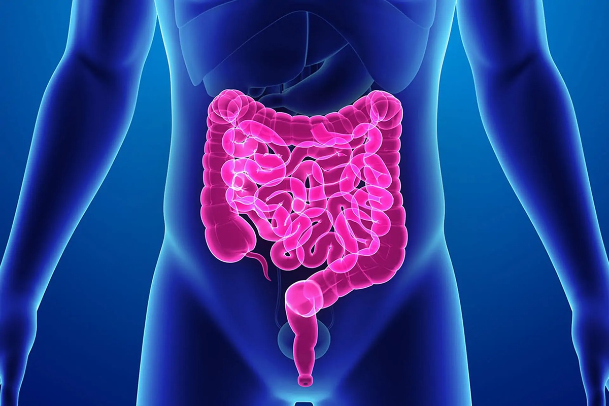HGV realiza mutirão de colonoscopias para reduzir fila de espera.