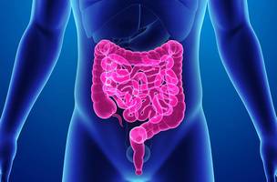 HGV realiza mutirão de colonoscopias para reduzir fila de espera. (Foto: Divulgação/ Ascom)