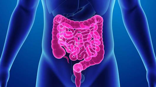 HGV realiza mutirão de colonoscopias para reduzir fila de espera