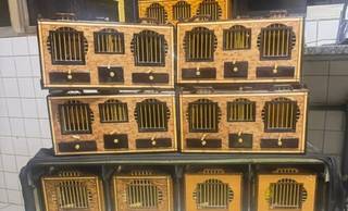 PRF apreende canários-da-terra transportados sem autorização na BR-316, em Picos PRF apreende canários-da-terra transportados sem autorização na BR-316, em Picos