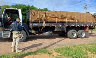 PRF apreende mais de 26 m³ de madeira irregular na BR-316, no PI PRF apreende mais de 26 m³ de madeira irregular na BR-316, no PI