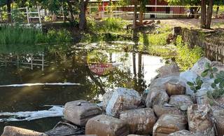 Balneário é fechado após vazamento de veneno no Piauí; risco de contaminação preocupa