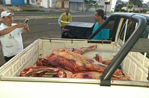 Fiscalização apreende 230 kg de carne sem inspeção em Teresina. (Foto: Reprodução/ Ascom)