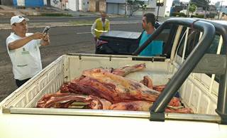 Fiscalização apreende 230 kg de carne sem inspeção em Teresina Fiscalização apreende 230 kg de carne sem inspeção em Teresina
