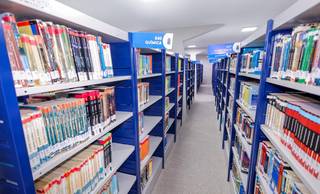 Lei cria programa para garantir oferta de disciplinas na Uespi; veja como funciona