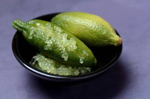 Limão caviar. (Foto: Reprodução/ Ascom)