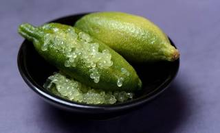 Limão caviar é vendido por até R$ 1.200 o quilo; saiba o motivo