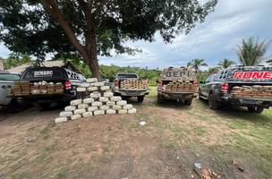 Polícia apreende 700 kg de drogas em sítio no MA; suspeito é preso em Timon. (Foto: Divulgação/ SSP-PI)