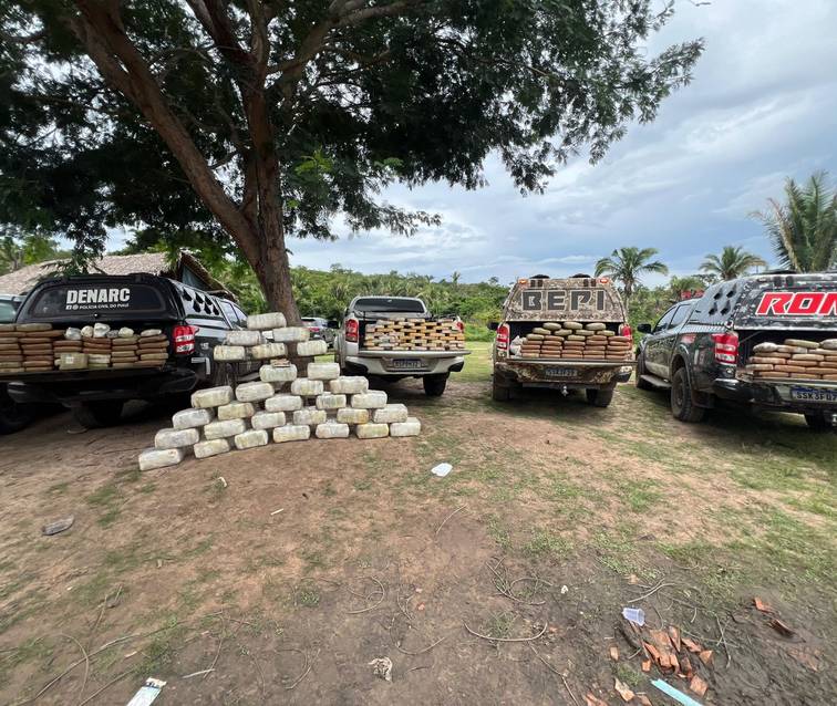 Polícia apreende 700 kg de drogas em sítio no MA; suspeito é preso em Timon