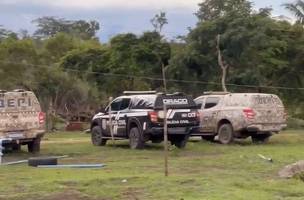 Sítio com drogas. (Foto: Reprodução SSP)