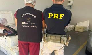 Carga com 650 kg de queijo e pescado é apreendida no litoral do Piauí Carga com 650 kg de queijo e pescado é apreendida no litoral do Piauí