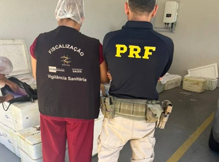 Carga com 650 kg de queijo e pescado é apreendida no litoral do Piauí