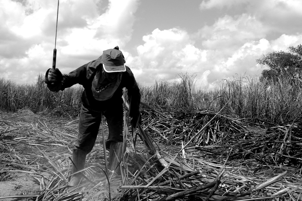 Trabalho em atividade insalubre.