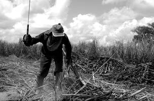 Trabalho em atividade insalubre. (Foto: Reprodução/ Internet)