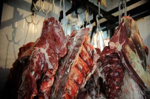 Carne bovina brasileira fica fora de nova tarifa dos EUA. (Foto: Reprodução/ Agência Brasil)