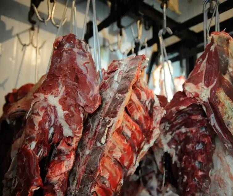 Carne bovina brasileira fica fora de nova tarifa dos EUA; entenda o que muda